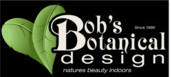Logo and Business Cards Logo and Business Cards